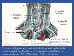 diapositiva3