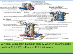 diapositiva4