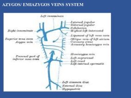 diapositiva5